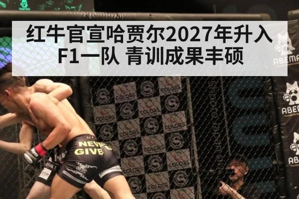 红牛官宣哈贾尔2027年升入F1一队 青训成果丰硕